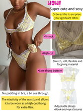 Load image into Gallery viewer, Kaei&amp;Shi Ruffle Embroidered Mesh Lace Lingerie,Underwire Sheer Matching Two Piece Lingerie Set
